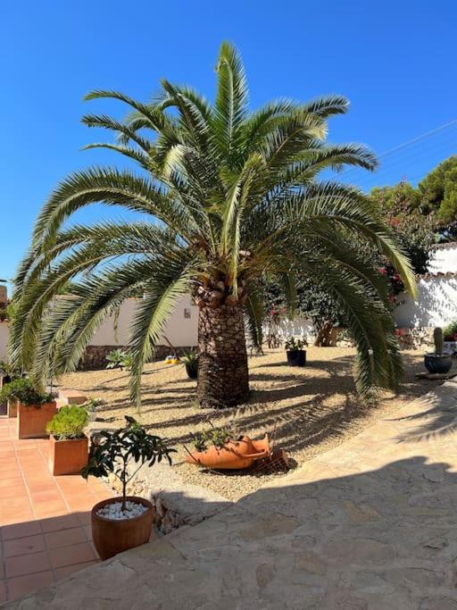 Casa Serenita Charming Villa With Swimming Pool Jávea Exterior photo